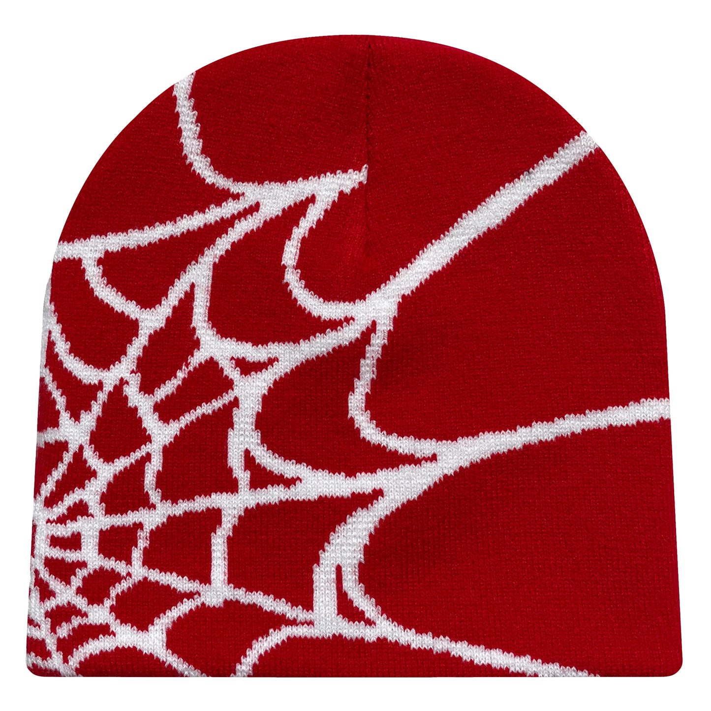 Spider Web Knitted Beanie