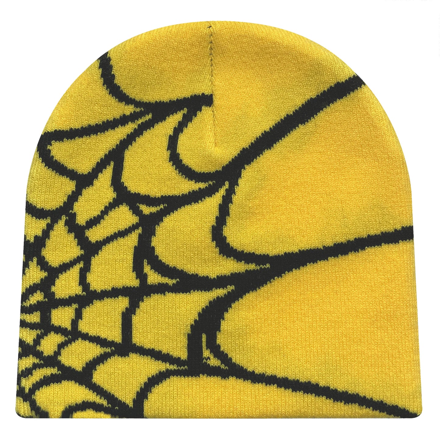 Spider Web Knitted Beanie