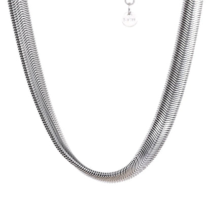 Thick silver snake chain necklace on a white background