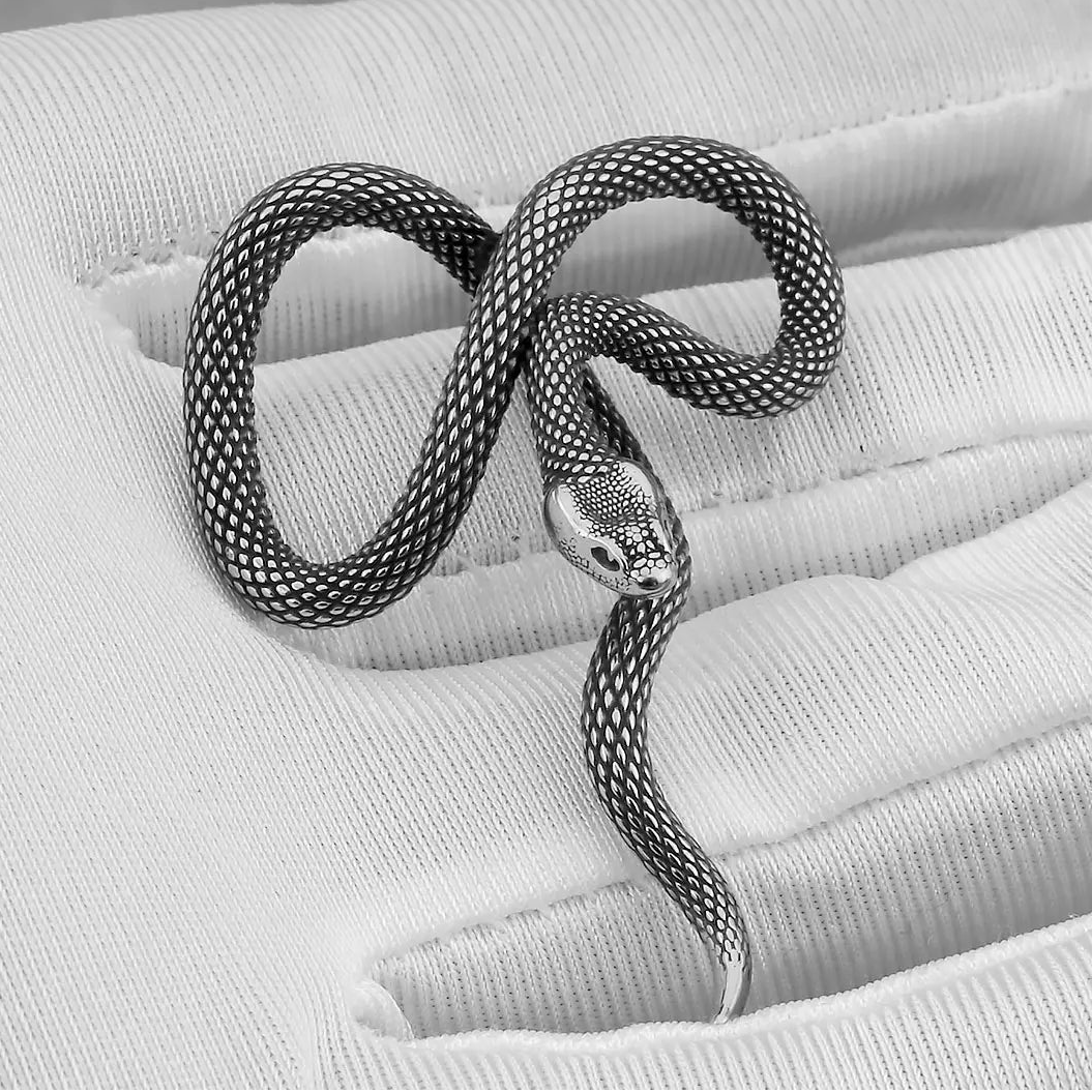 Silver snake-shaped necklace on a textured white surface